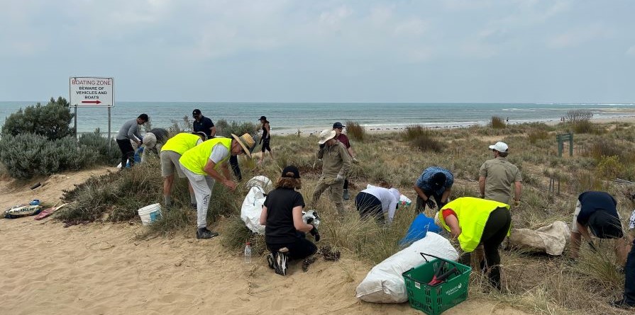 Voluntarios de S&C regando y fijando las estacas alrededor de las plantas