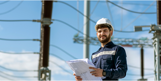Electrical line surveyor