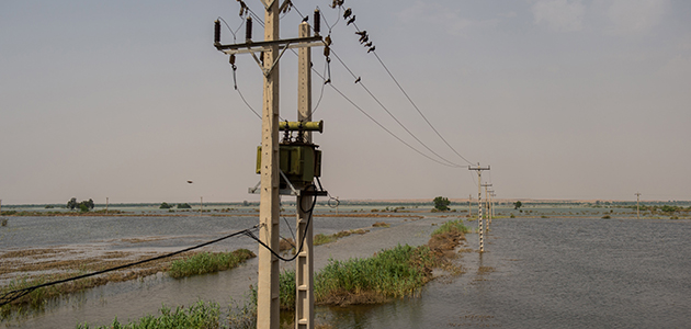 Birds on a distribution line in flooded area Birds on a distribution line in flooded area