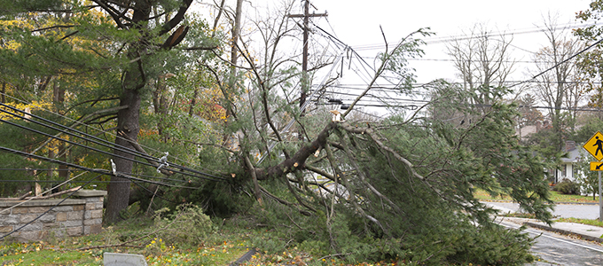 Storm Damage